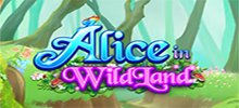 Alice in WildLand