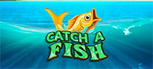 The river is full of prizes in Catch a Fish! Get settled in your boat and use the extra ball bubbles to fish a Bingo! At the bonus game, pick the best fishes and hook a lot of winnings. Are you ready? Then prepare your fishing rod and come enjoy this river of cash